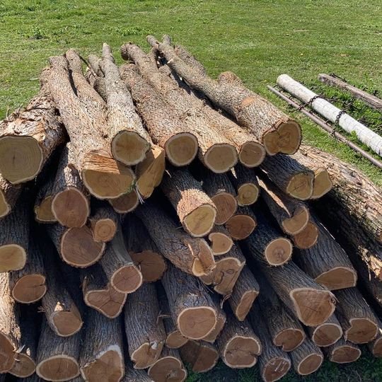 Premium Line Posts — 3-6" diameter, relatively straight, 9ft long