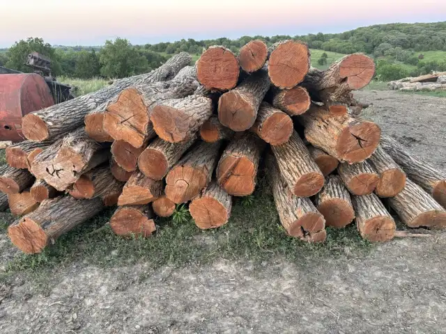 Premium Corner/Second Posts — 6-12" diameter, relatively straight, 9ft long
