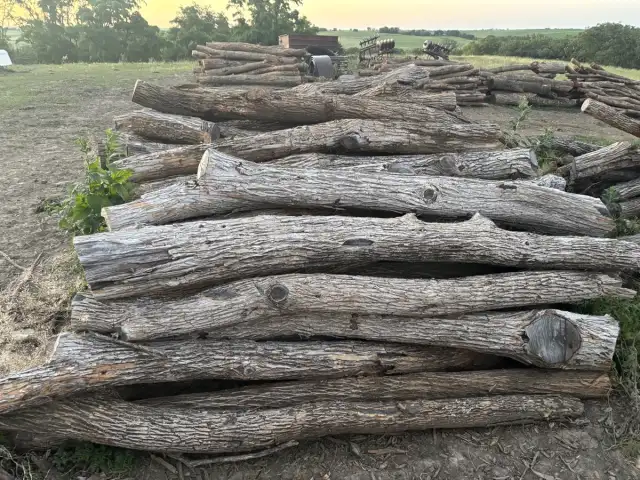 Premium Corner/Second Posts — 6-12" diameter, relatively straight, 9ft long