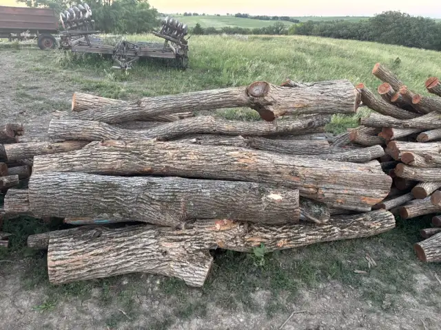 Regular Corner Posts — 8-14" diameter, curvy or cut last year, 9ft long