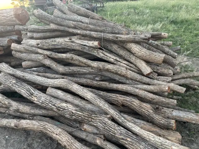 Regular Line Posts — 3-6" diameter, curvy, smaller or cut last year, 9ft long